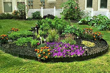 Williamsville Senior Apartments