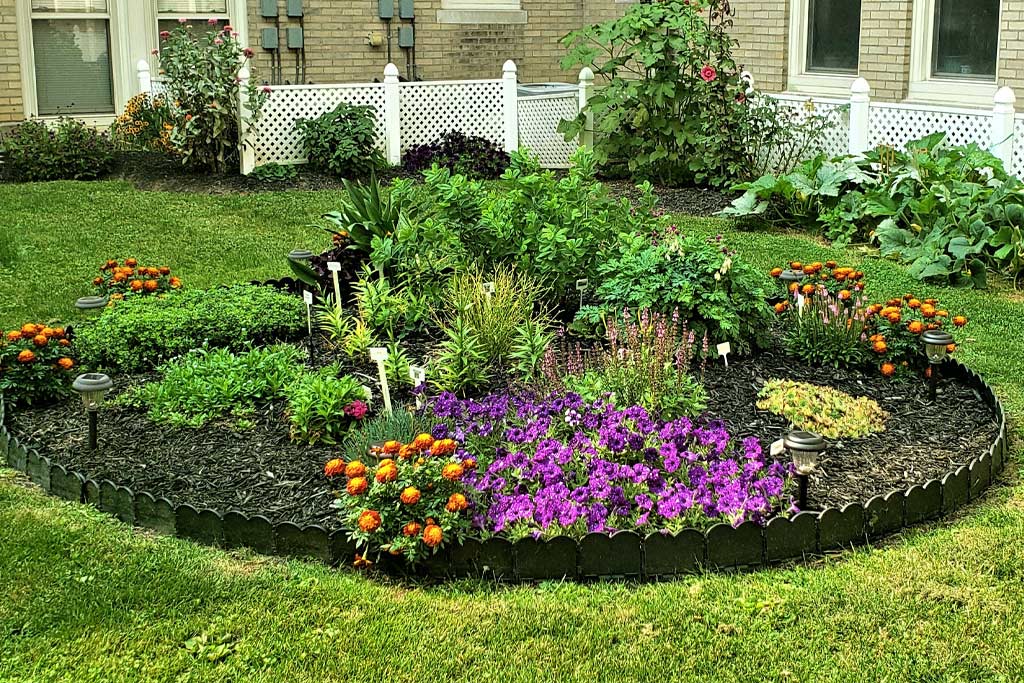 Williamsville Senior Apartments